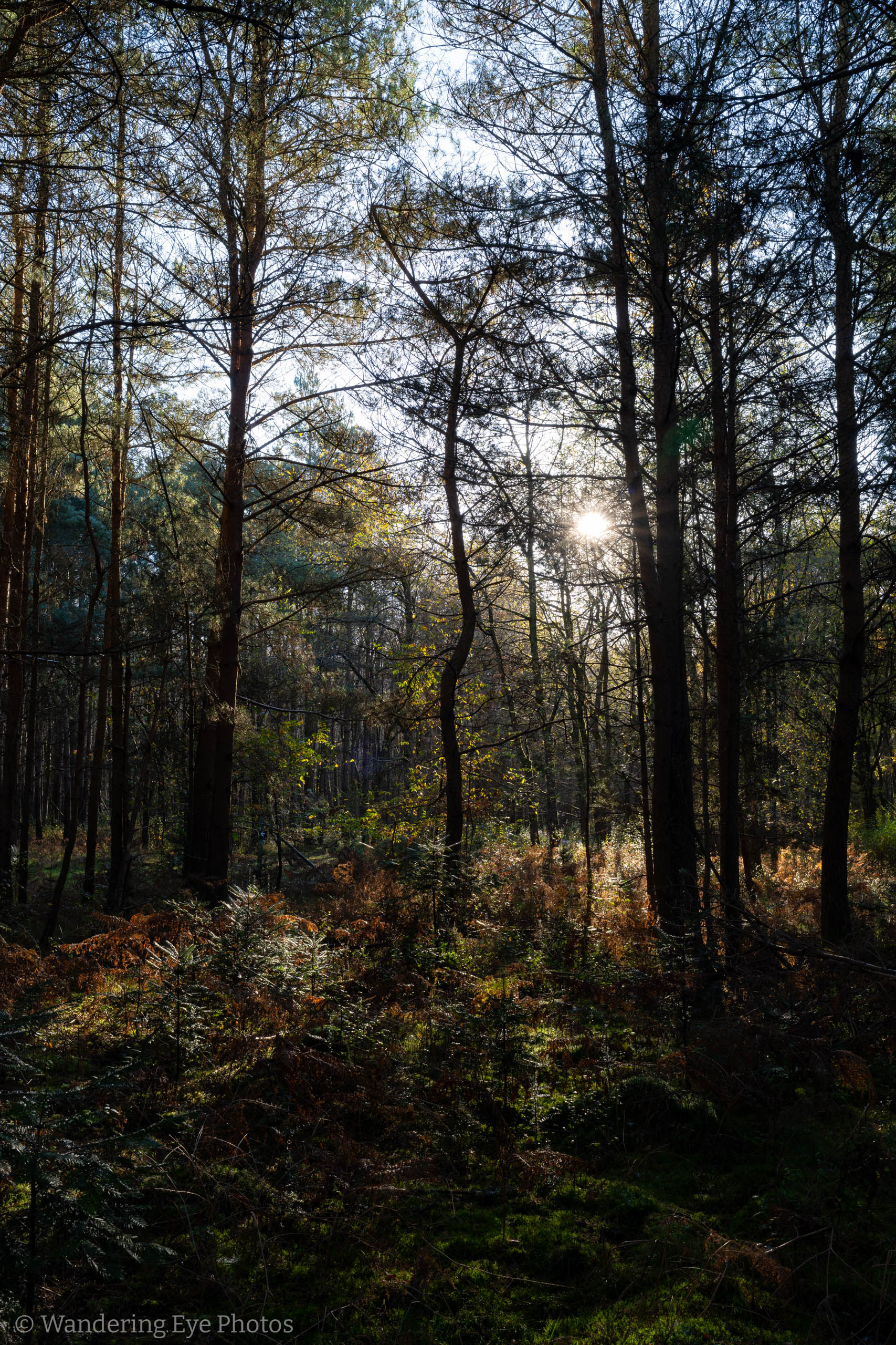 11.22 10.28.51   DSC04782